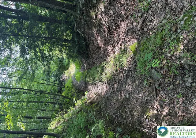 Photo 1 of Land for sale at 0 Hauto Hwy, Nesquehoning, PA 18240 | MLS# 780859 | Listing updated on 2026-07-19