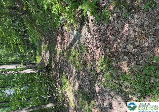 Photo 2 of Land for sale at 0 Hauto Hwy, Nesquehoning, PA 18240 | MLS# 780859 | Listing updated on 2026-07-19