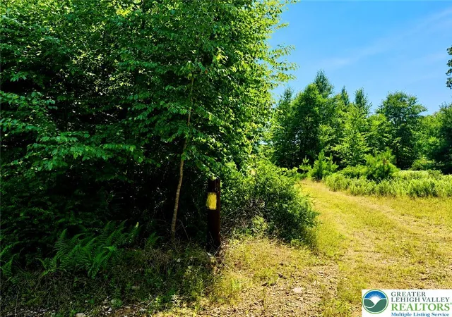 Photo 2 of Land for sale at Vacant Land Off Lakewood Dr, Eldred Twp, PA 18353 | MLS# 781132 | Listing updated on 2026-07-27