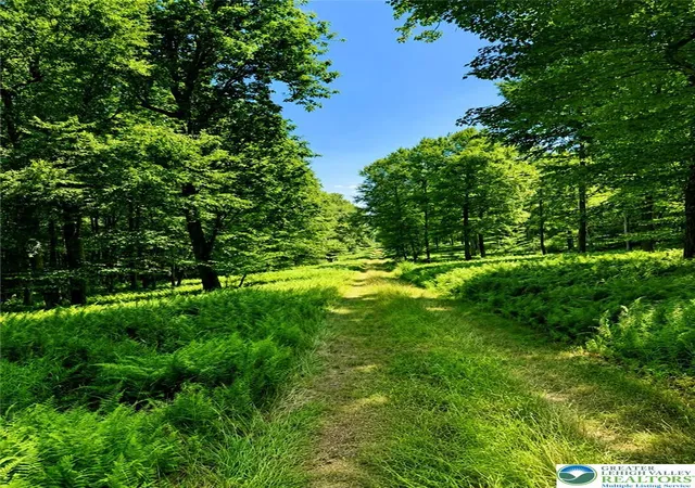 Photo 4 of Land for sale at Vacant Land Off Lakewood Dr, Eldred Twp, PA 18353 | MLS# 781132 | Listing updated on 2026-07-27