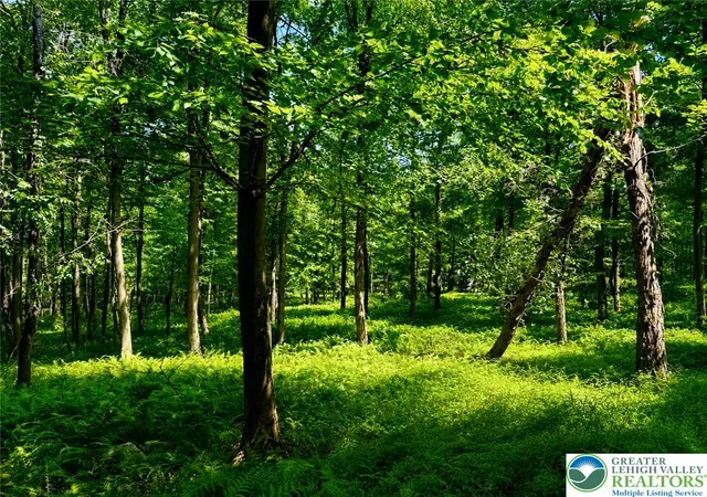 Photo 5 of Land for sale at Vacant Land Off Lakewood Dr, Eldred Twp, PA 18353 | MLS# 781132 | Listing updated on 2026-07-27
