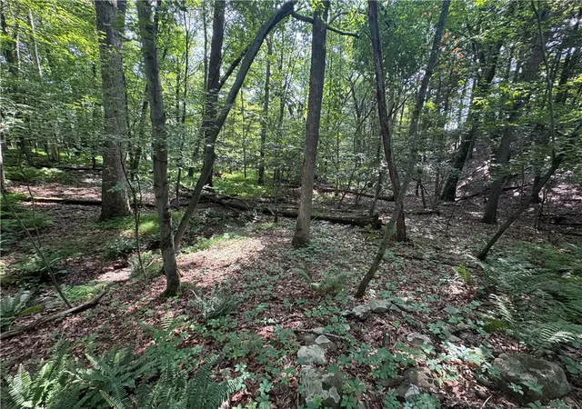 1st image of Par Dr, Polk Twp, PA 18058 | MLS# 781208