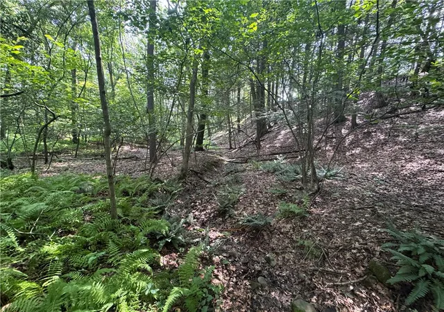 2nd image of Par Dr, Polk Twp, PA 18058 | MLS# 781208