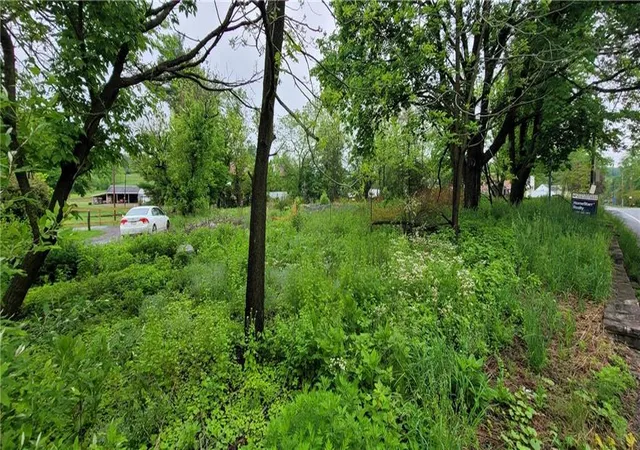 Photo 4 of Land for sale at 149 Pleasant Valley Rd, Pine Grove, PA 17963 | MLS# 781532 | Listing updated on 2026-07-27