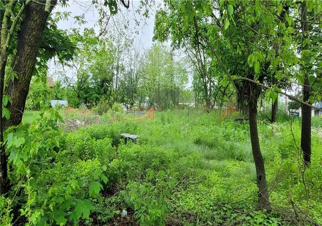 Photo 5 of Land for sale at 149 Pleasant Valley Rd, Pine Grove, PA 17963 | MLS# 781532 | Listing updated on 2026-07-27