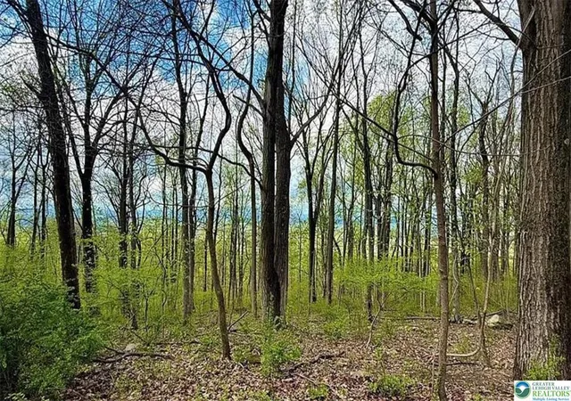 3rd image of 4825 Mountain Dr, Upper Milford Twp, PA 18049 | MLS# 780668