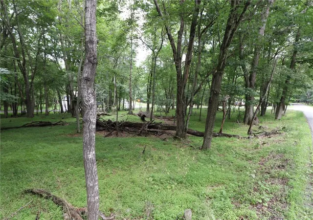 16th image of Long Brooke & Woodland Rd, Albrightsville, PA 18210 | MLS# 781718