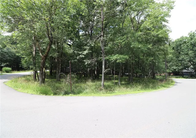 2nd image of Long Brooke & Woodland Rd, Albrightsville, PA 18210 | MLS# 781718