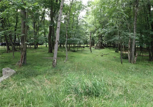 Photo 3 of Land for sale at Long Brooke & Woodland Rd, Albrightsville, PA 18210 | MLS# 781718 | Listing updated on 2026-07-30