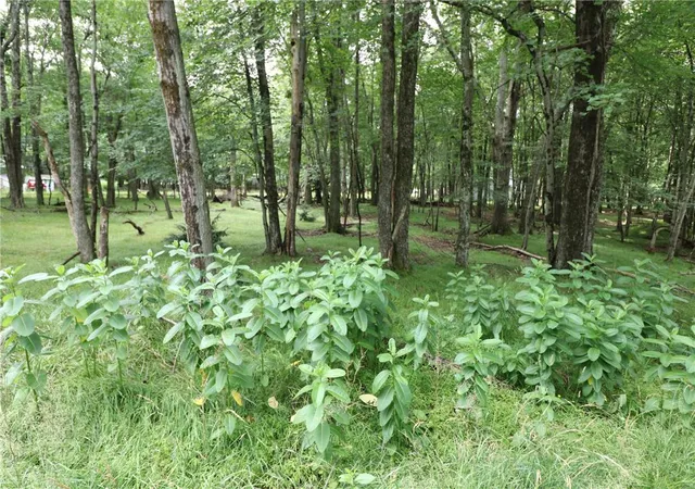 Photo 3 of Land for sale at Long Brooke & Woodland Rd, Albrightsville, PA 18210 | MLS# 781718 | Listing updated on 2026-07-30