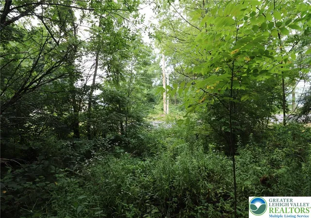Photo 4 of Land for sale at 8401 Brookdale Rd, Breinigsville, PA 18031 | MLS# 781590 | Listing updated on 2026-07-30