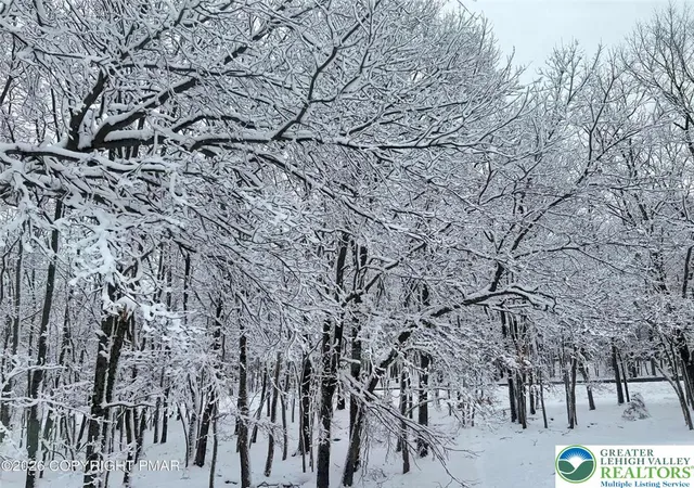 Photo 3 of Land for sale at 391 Scenic, Chestnuthill Twp, PA 18210 | MLS# 783719 | Listing updated on 2026-09-01