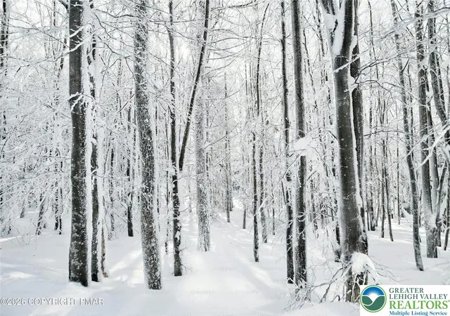 Photo 3 of Land for sale at 391 Scenic, Chestnuthill Twp, PA 18210 | MLS# 783719 | Listing updated on 2026-09-01