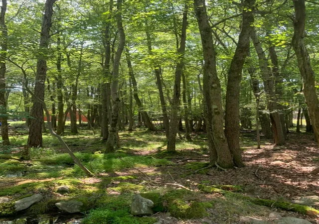 Photo 2 of Land for sale at 19 Sunshine Dr, White Haven, PA 18661 | MLS# 783743 | Listing updated on 2026-09-01