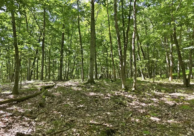 Photo 1 of Land for sale at Gingerbread Ln, East Stroudsburg, PA 18302 | MLS# 785111 | Listing updated on 2026-09-24