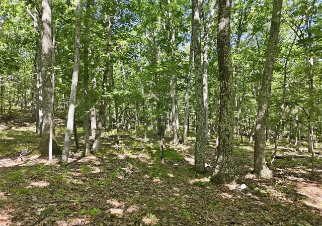 Photo 3 of Land for sale at Gingerbread Ln, East Stroudsburg, PA 18302 | MLS# 785111 | Listing updated on 2026-09-24