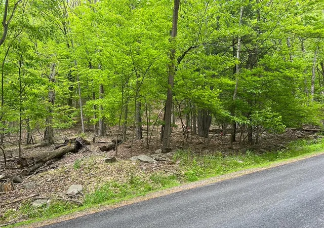 Photo 2 of Land for sale at 589 Tamarack Ln, Lake Ariel, PA 18436 | MLS# 785181 | Listing updated on 2026-09-25