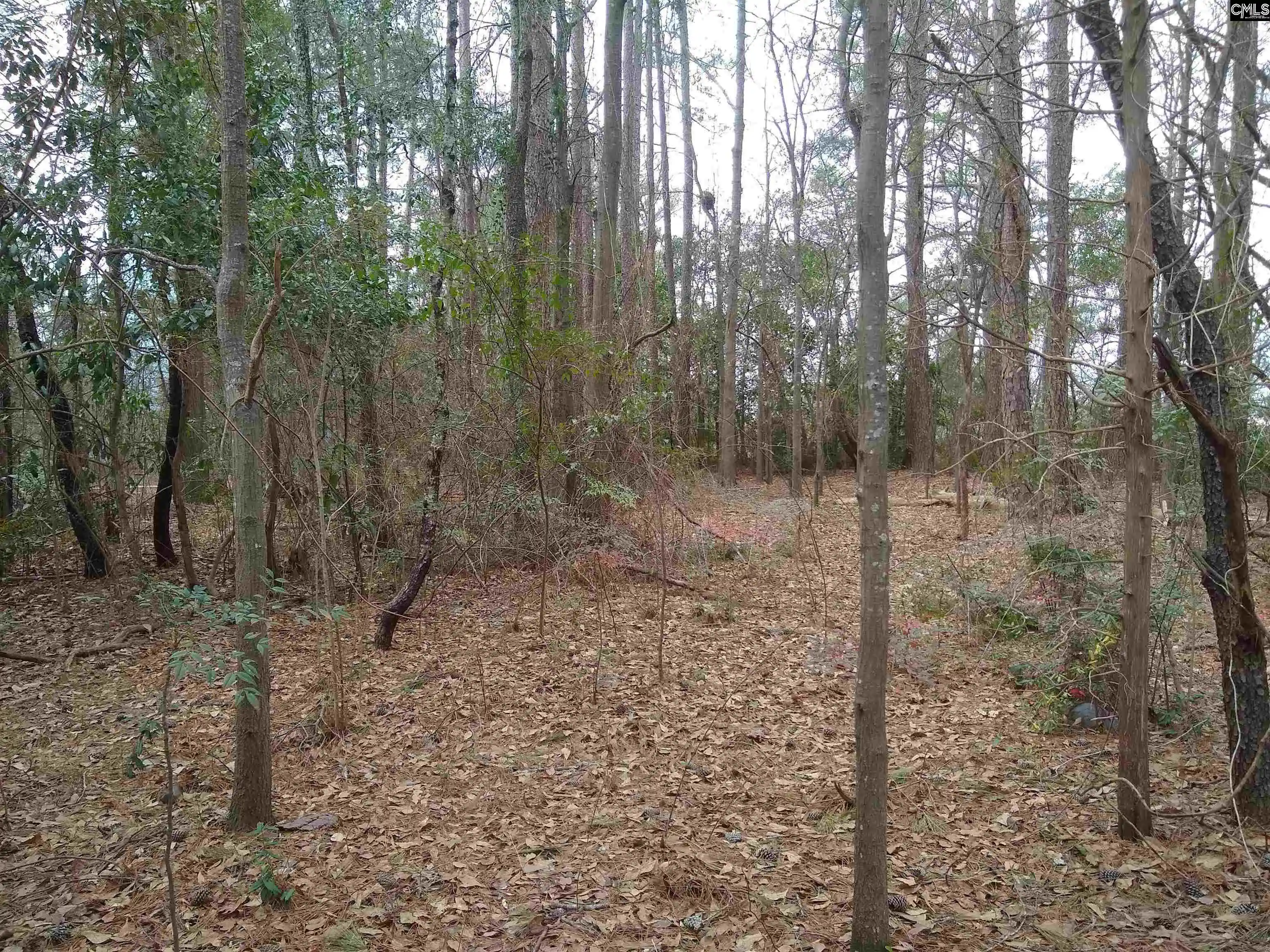 Photo 5 of Land for sale at Hwy 321, Winnsboro, SC 29180 | MLS# 535192 | Listing updated on 2026-02-20