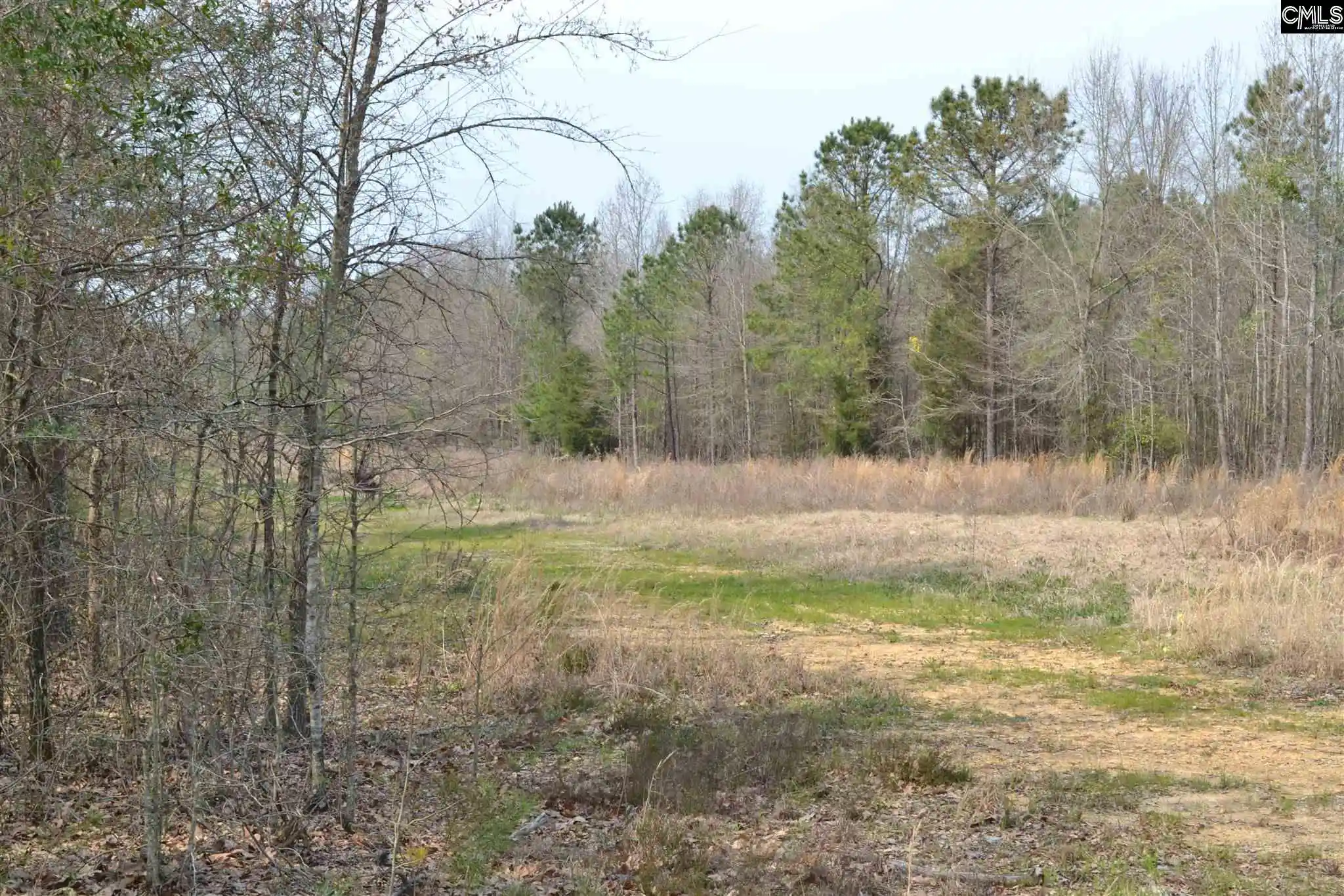 Photo 4 of Land for sale at 00 Bickley, Irmo, SC 29063 | MLS# 536532 | Listing updated on 2026-03-01
