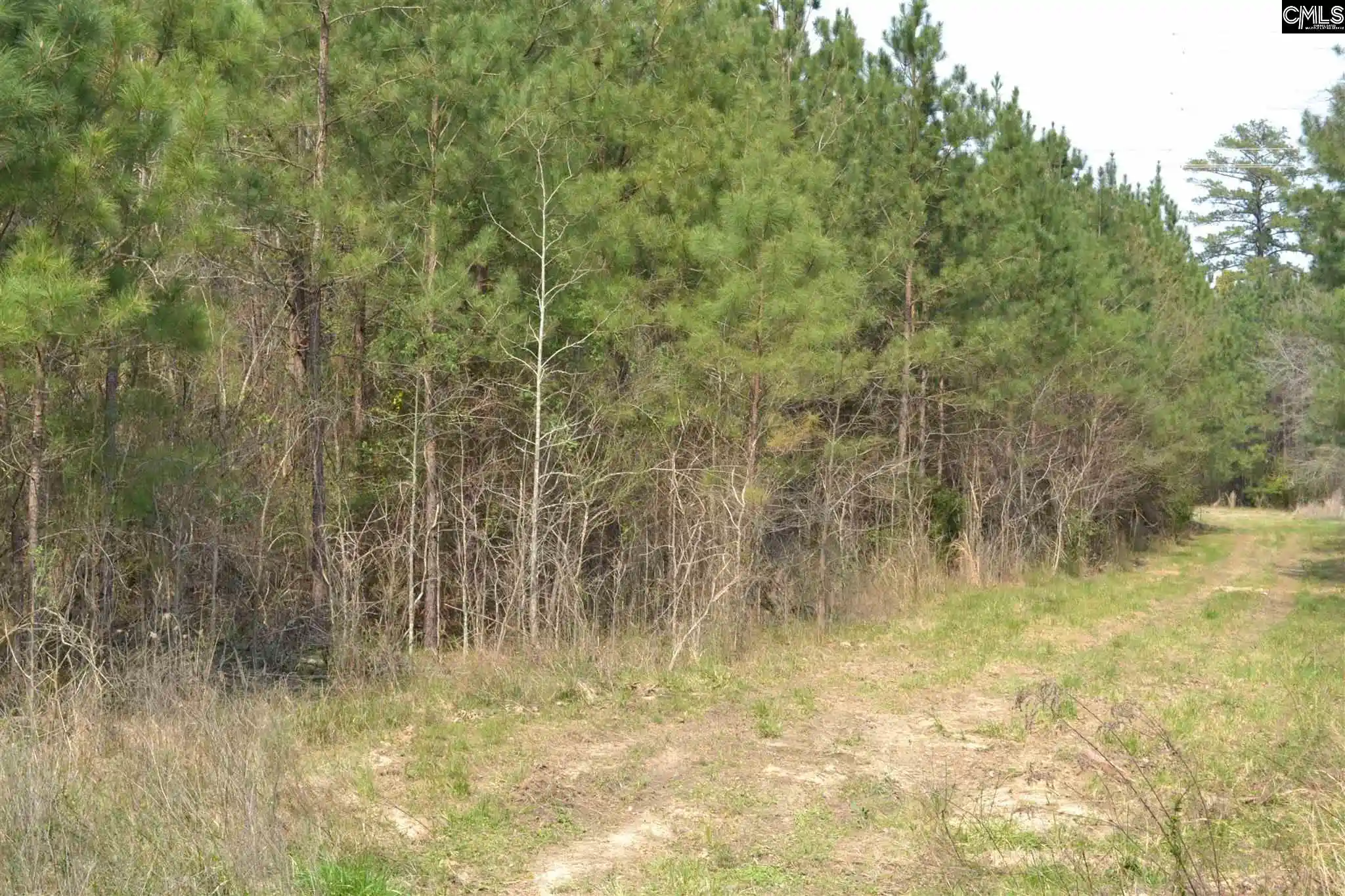 Photo 14 of Land for sale at 00 Bickley, Irmo, SC 29063 | MLS# 536532 | Listing updated on 2026-03-01