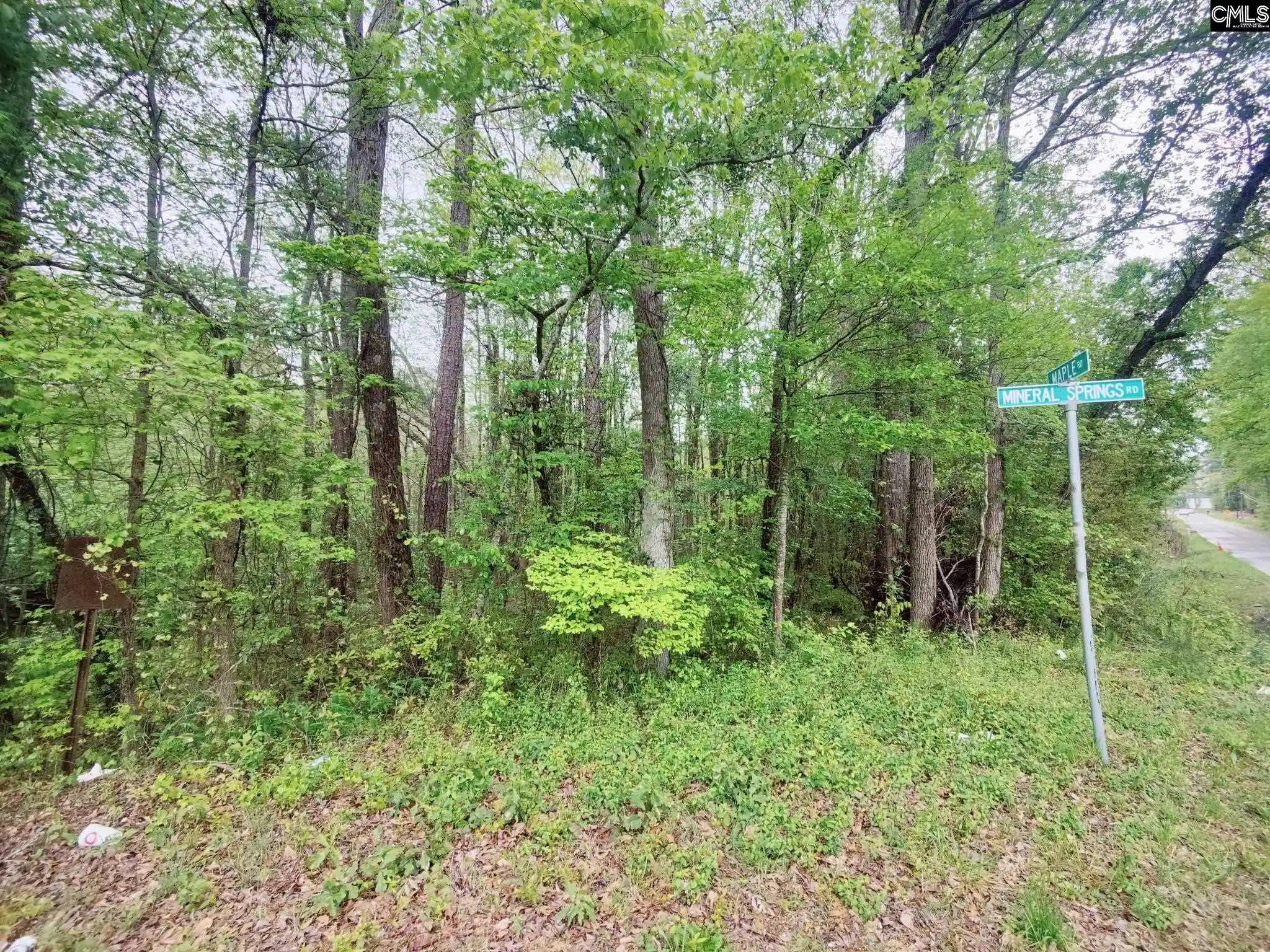2nd image of Mineral Springs, Lexington, SC 29073 | MLS# 560120