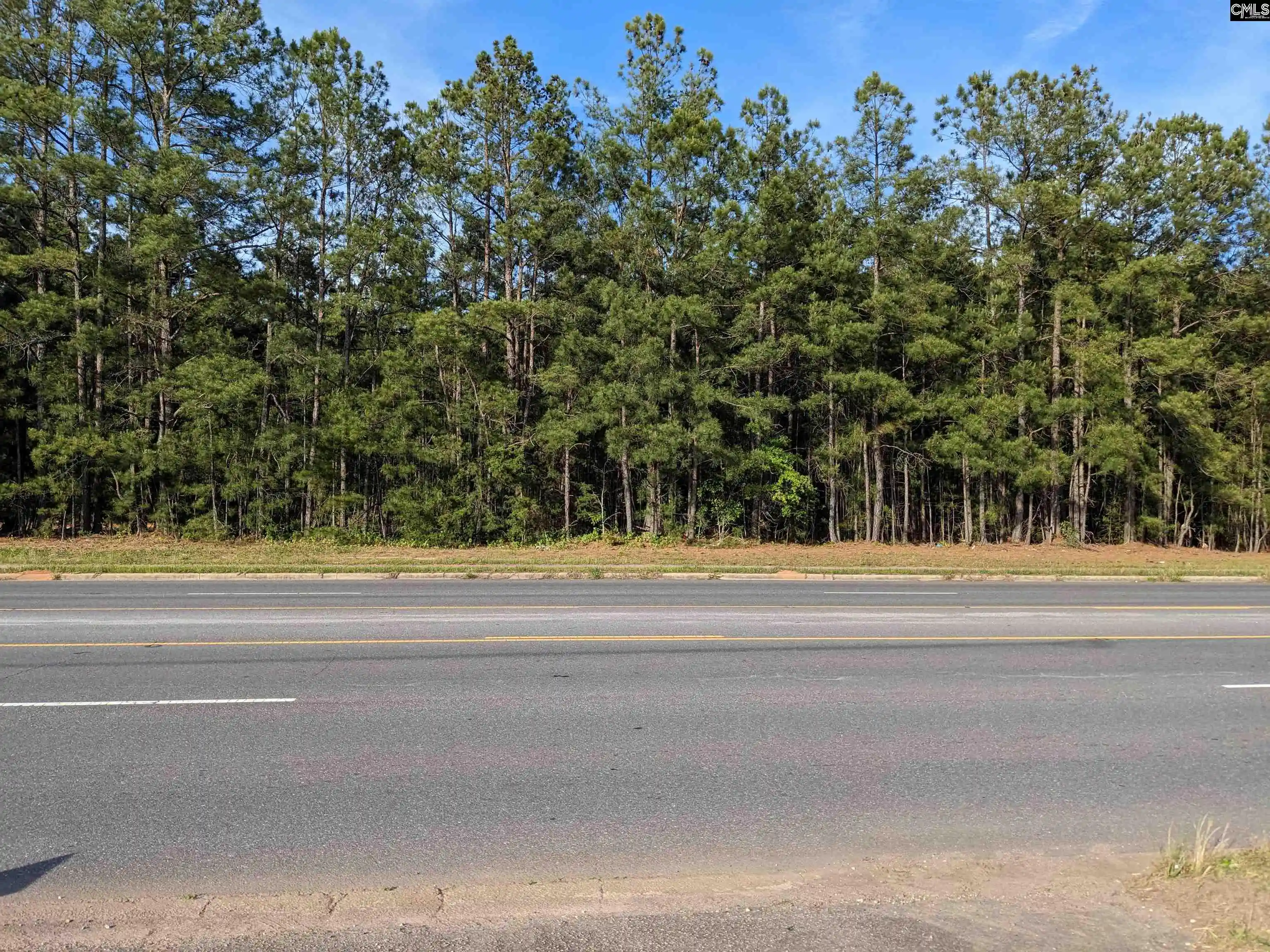 Homes for sale in Winnsboro, SC | 0 Hwy 321, Winnsboro, SC 29180 | MLS# 561990