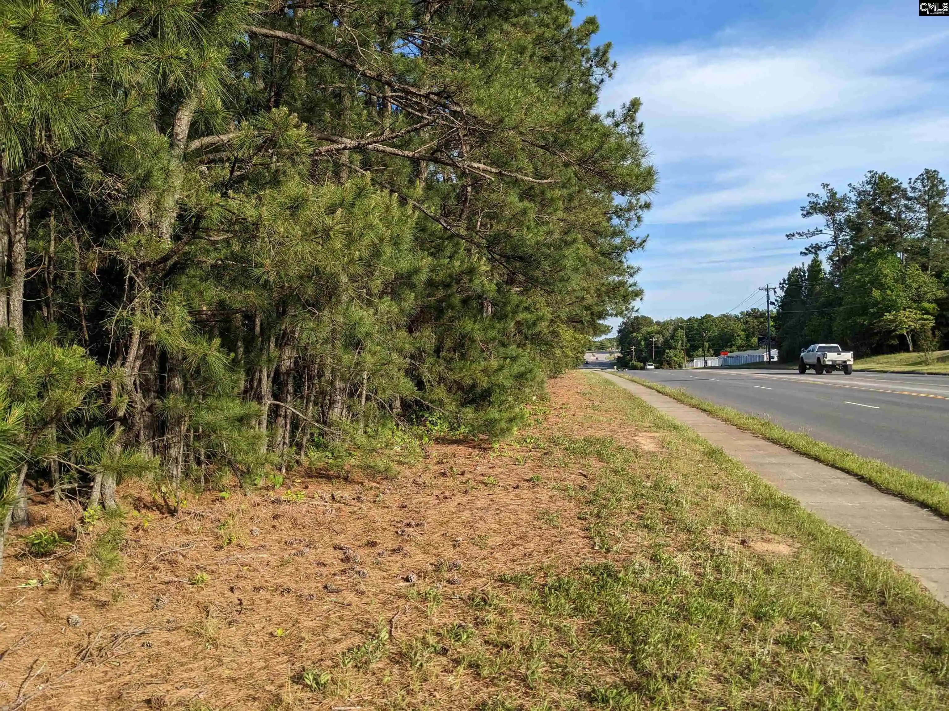 Homes for sale in Winnsboro, SC | 0 Hwy 321, Winnsboro, SC 29180 | MLS# 561990