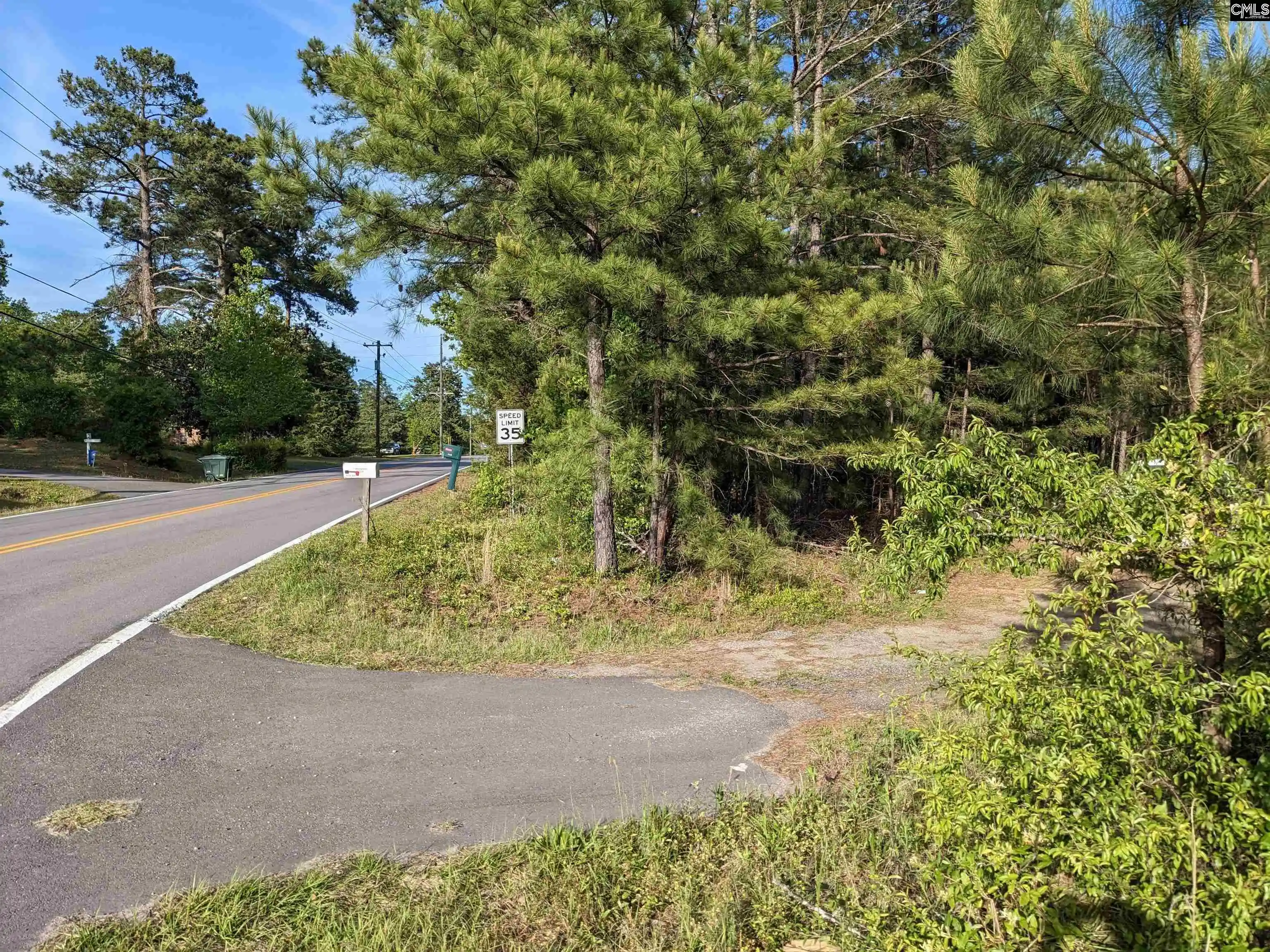 Homes for sale in Winnsboro, SC | 0 Hwy 321, Winnsboro, SC 29180 | MLS# 561990