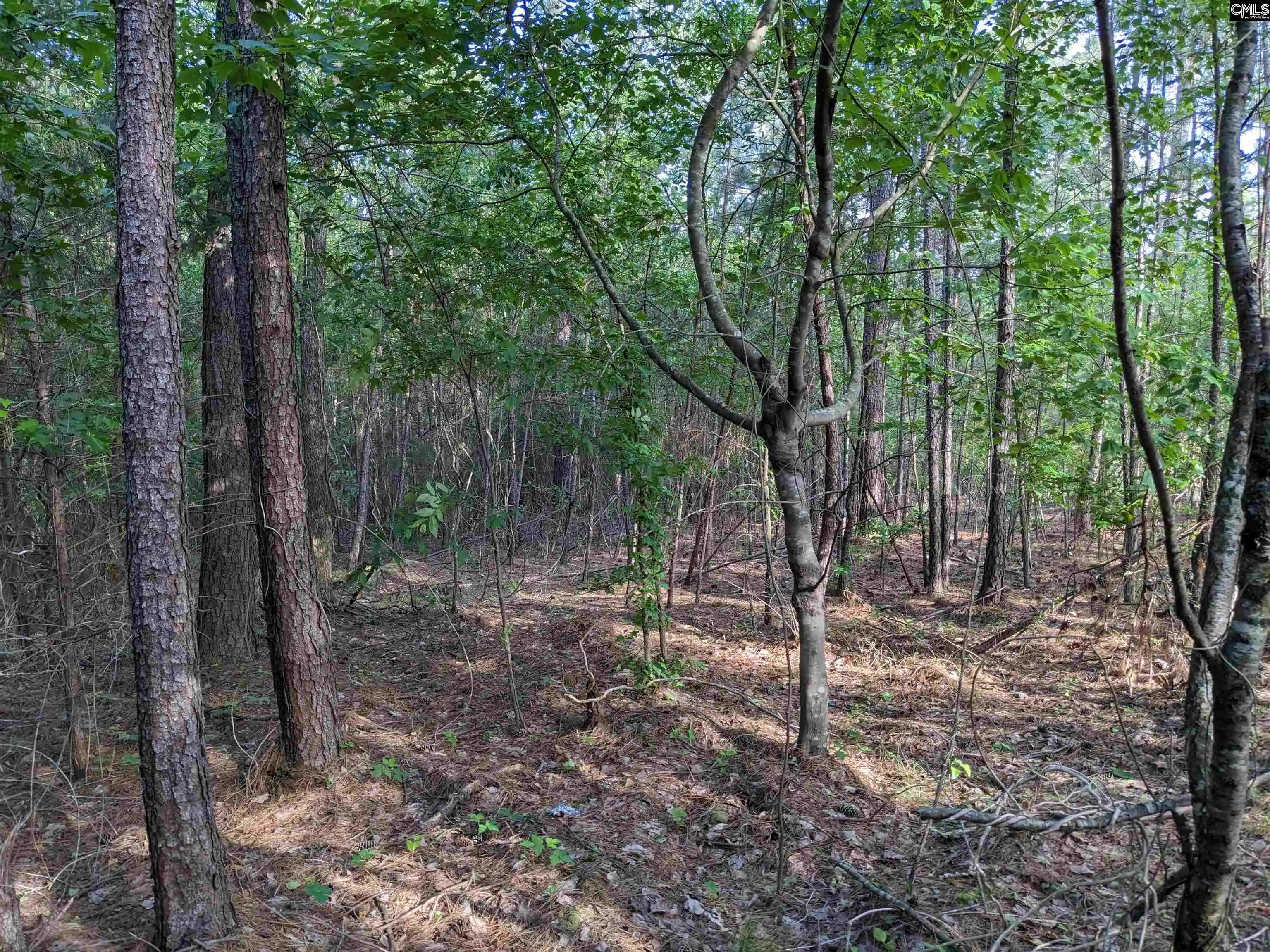 Homes for sale in Winnsboro, SC | 0 Hwy 321, Winnsboro, SC 29180 | MLS# 561990