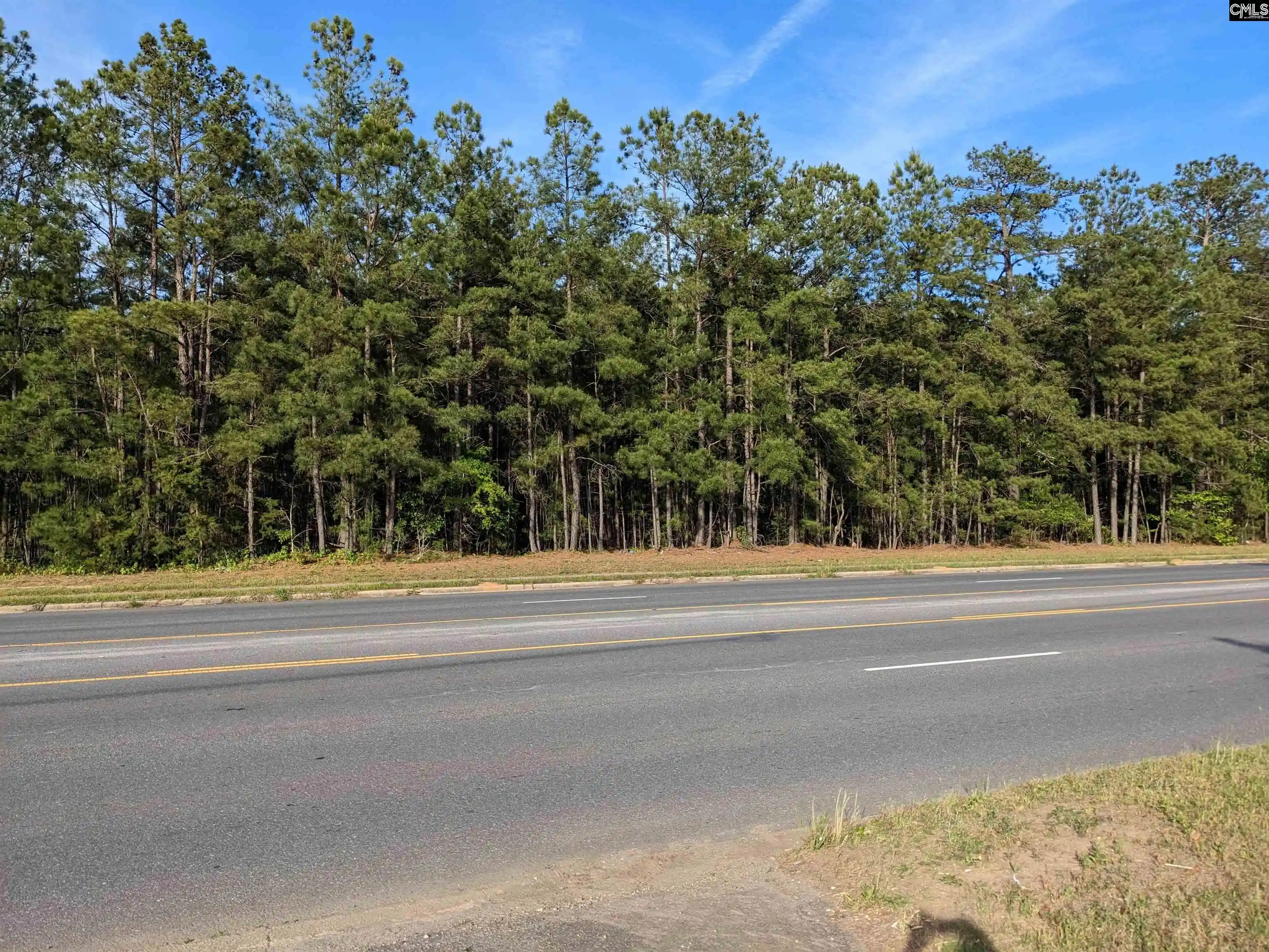 Homes for sale in Winnsboro, SC | 0 Hwy 321, Winnsboro, SC 29180 | MLS# 561990