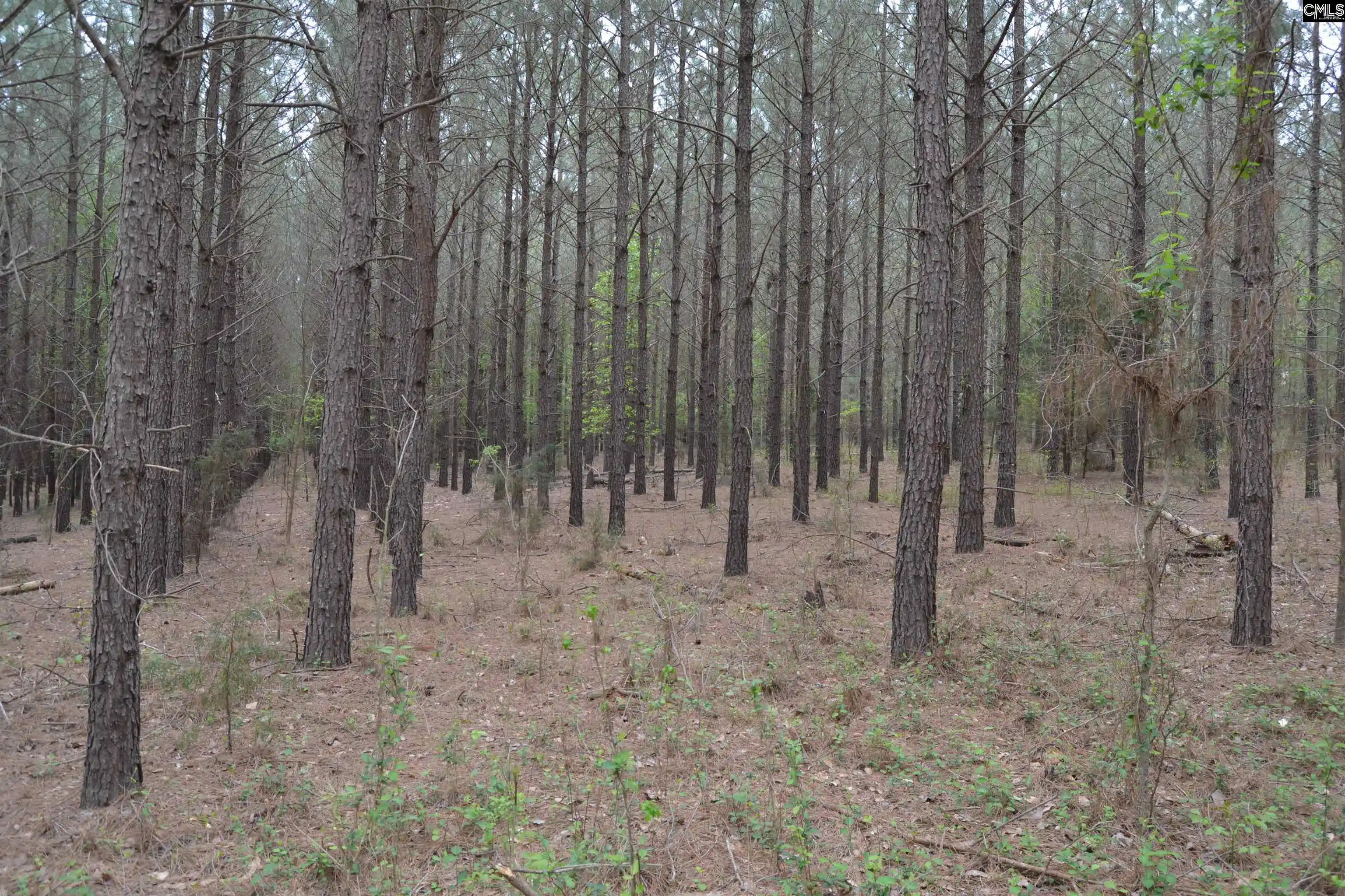 Photo 2 of Land for sale at 1309 Farming Creek, Irmo, SC 29063 | MLS# 572643 | Listing updated on 2026-04-10