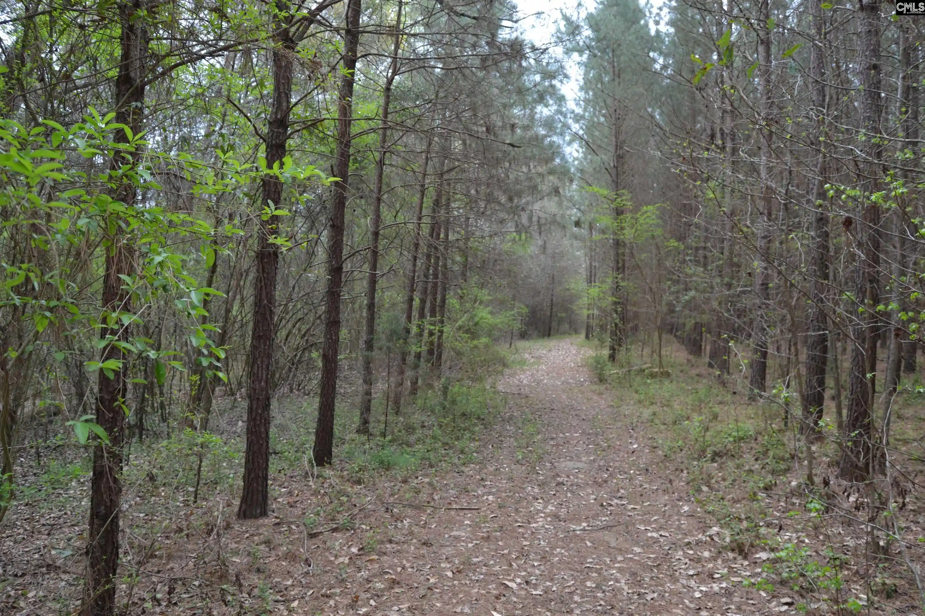 Photo 3 of Land for sale at 1309 Farming Creek, Irmo, SC 29063 | MLS# 572643 | Listing updated on 2026-04-10
