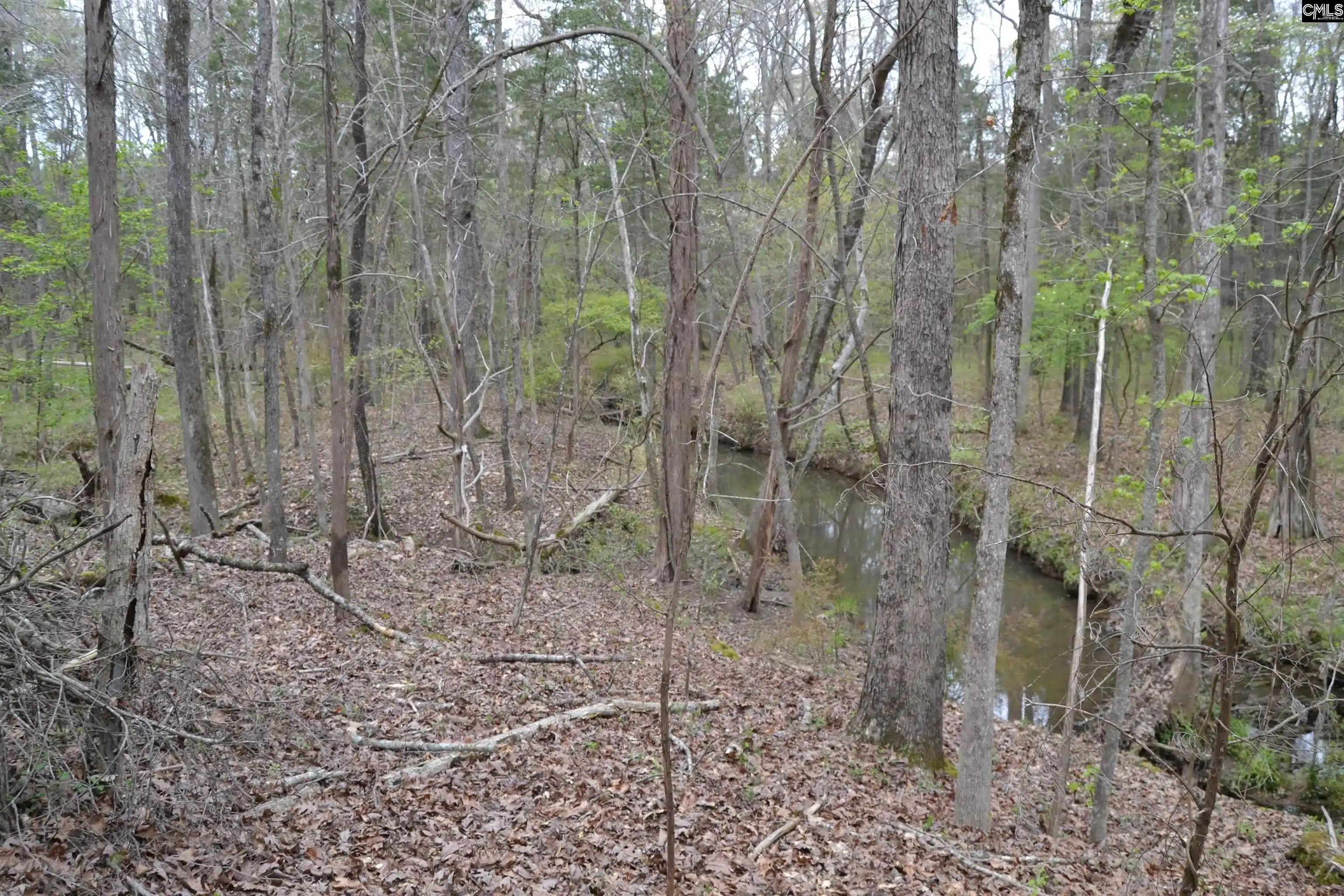 Photo 4 of Land for sale at 1309 Farming Creek, Irmo, SC 29063 | MLS# 572643 | Listing updated on 2026-04-10