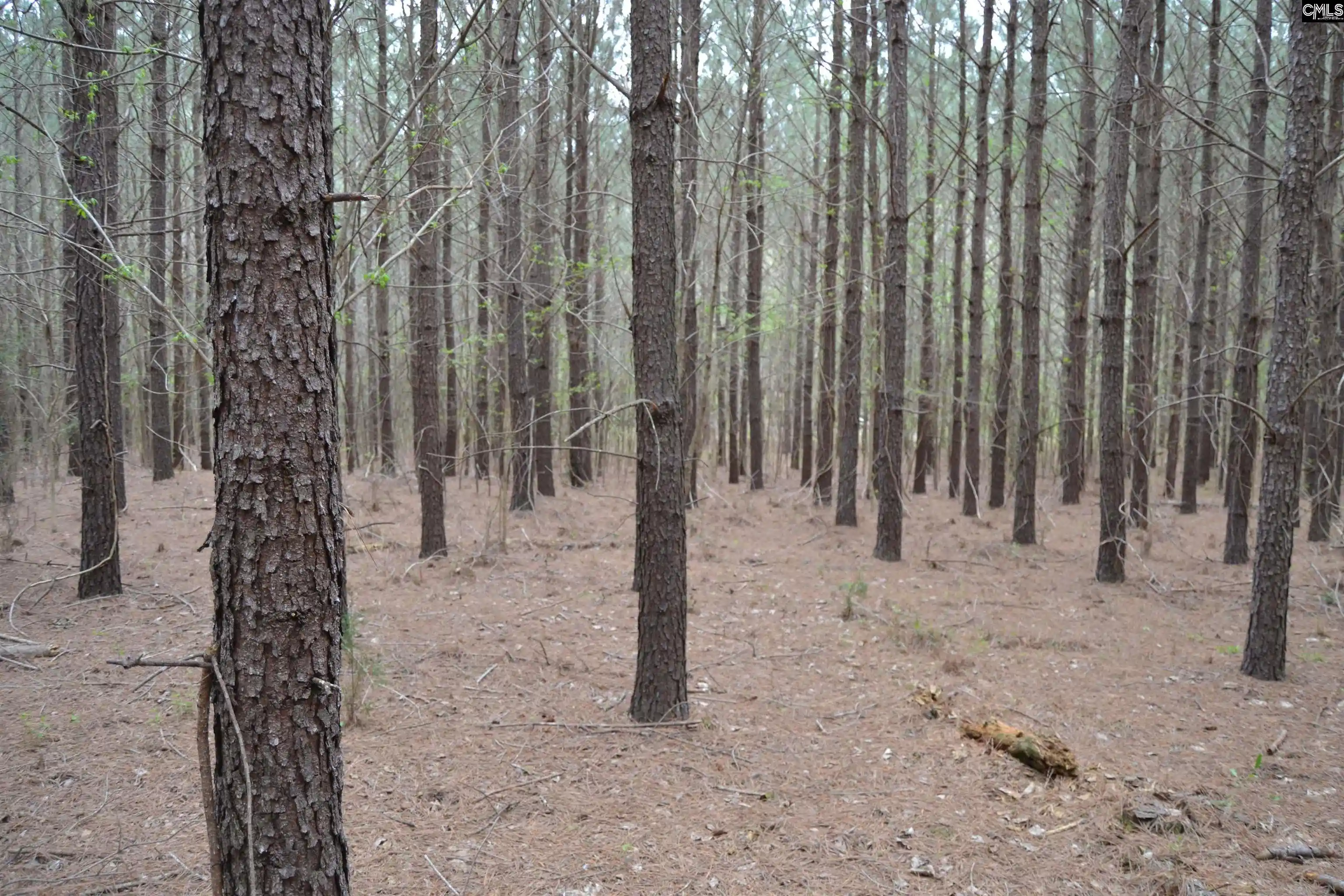 Photo 5 of Land for sale at 1309 Farming Creek, Irmo, SC 29063 | MLS# 572643 | Listing updated on 2026-04-10