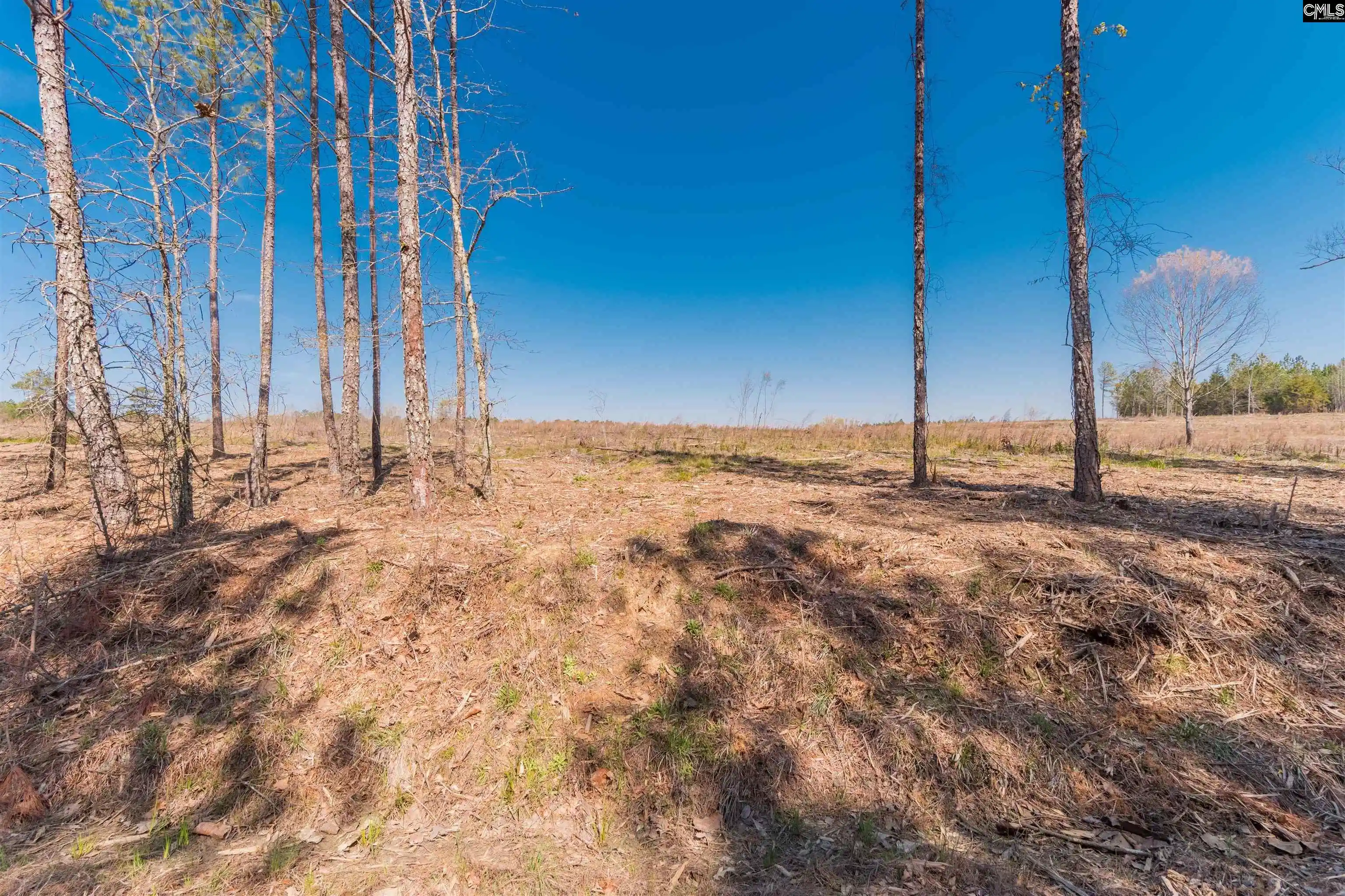 Photo 1 of Land for sale at Duncan, Batesburg, SC 29006 | MLS# 581829 | Listing updated on 2026-06-29