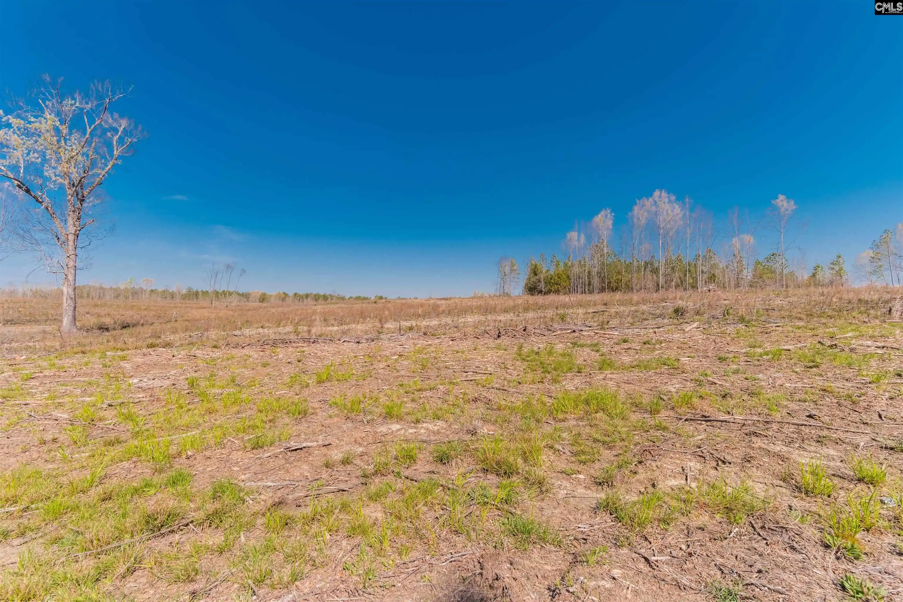 Photo 1 of Land for sale at Duncan, Batesburg, SC 29006 | MLS# 581835 | Listing updated on 2026-06-29
