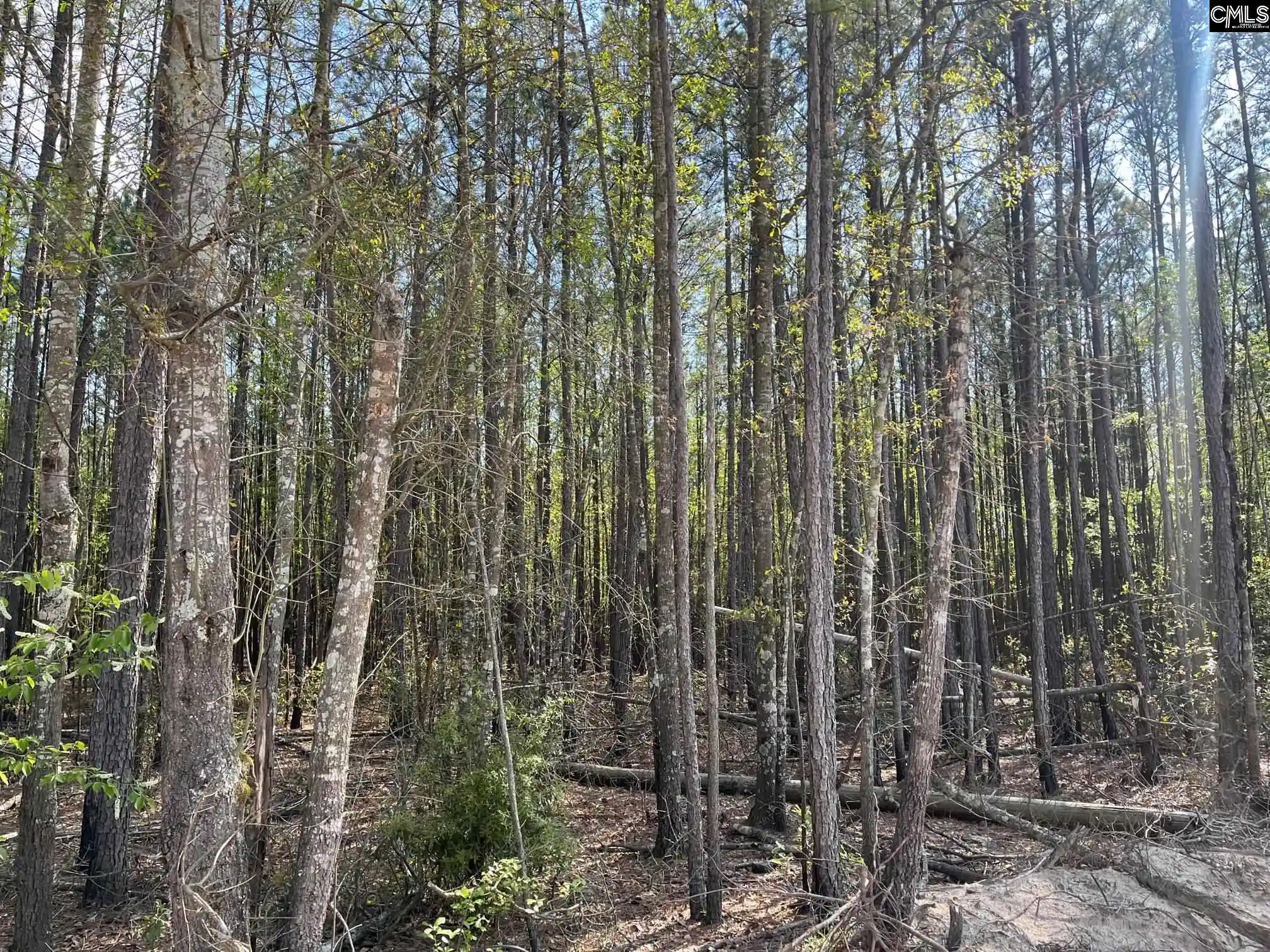 Photo 2 of Land for sale at 00 Cottage, West Columbia, SC 29172 | MLS# 582248 | Listing updated on 2026-04-30