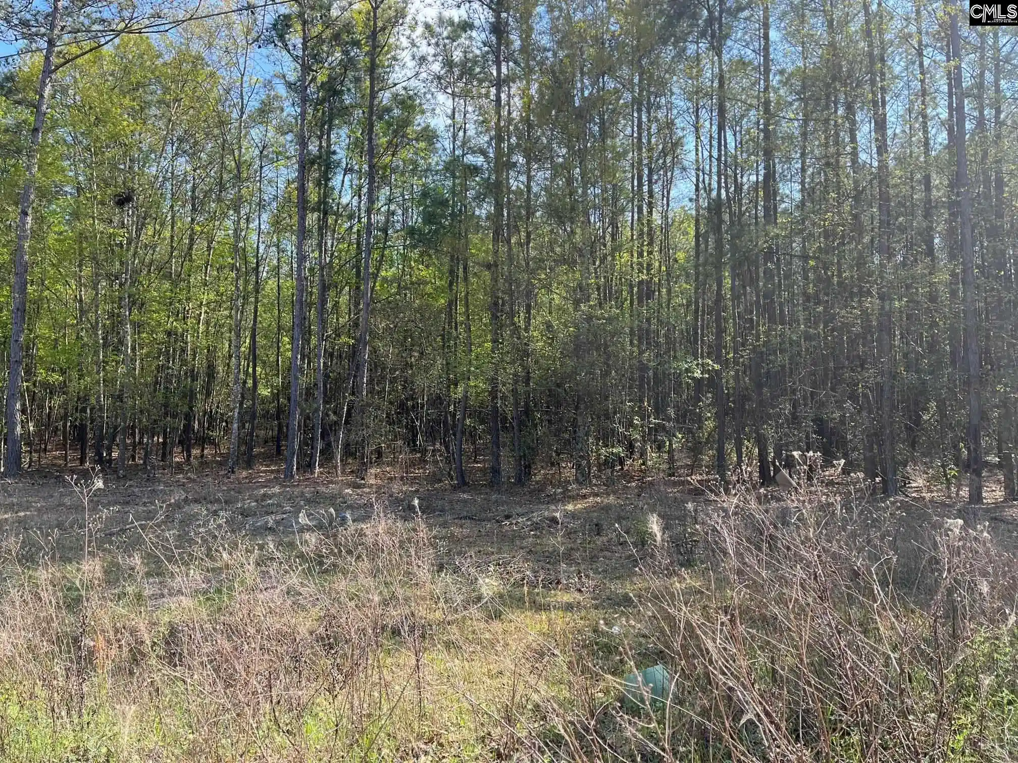 Photo 3 of Land for sale at 00 Cottage, West Columbia, SC 29172 | MLS# 582248 | Listing updated on 2026-04-30