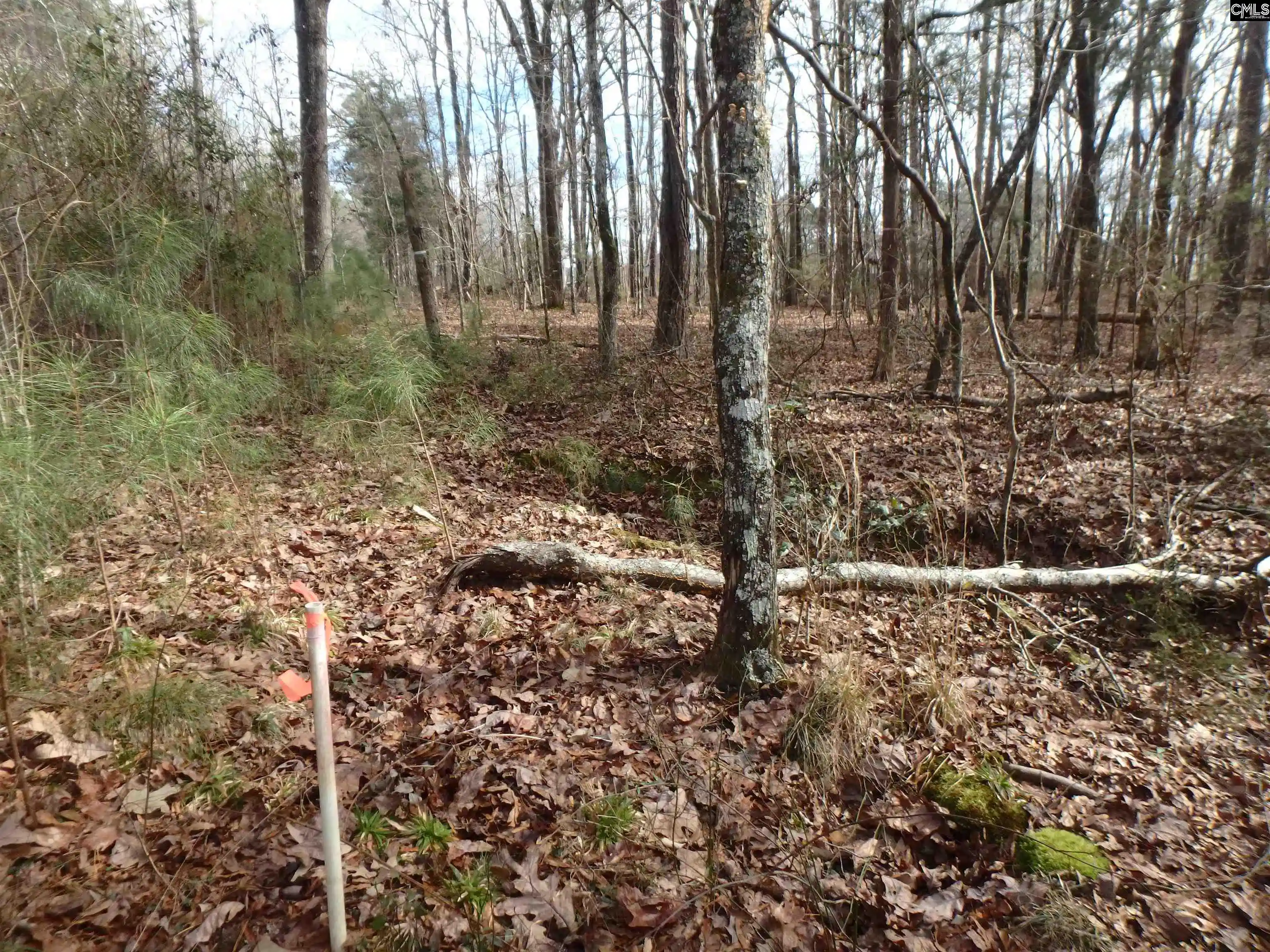 Photo 1 of Land for sale at 0 Amicks Ferry, Chapin, SC 29036 | MLS# 584632 | Listing updated on 2026-04-30