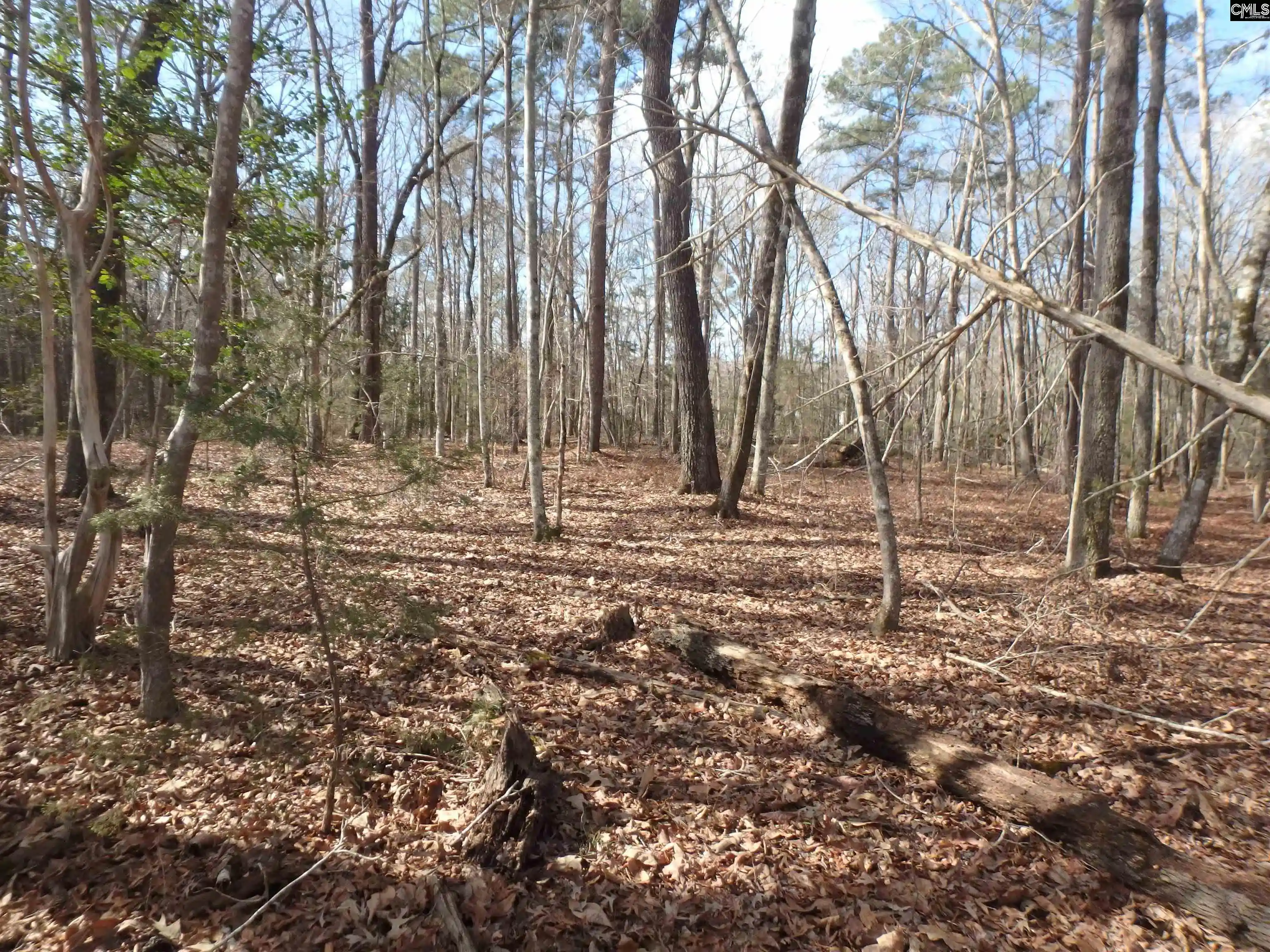 Photo 2 of Land for sale at 0 Amicks Ferry, Chapin, SC 29036 | MLS# 584632 | Listing updated on 2026-04-30
