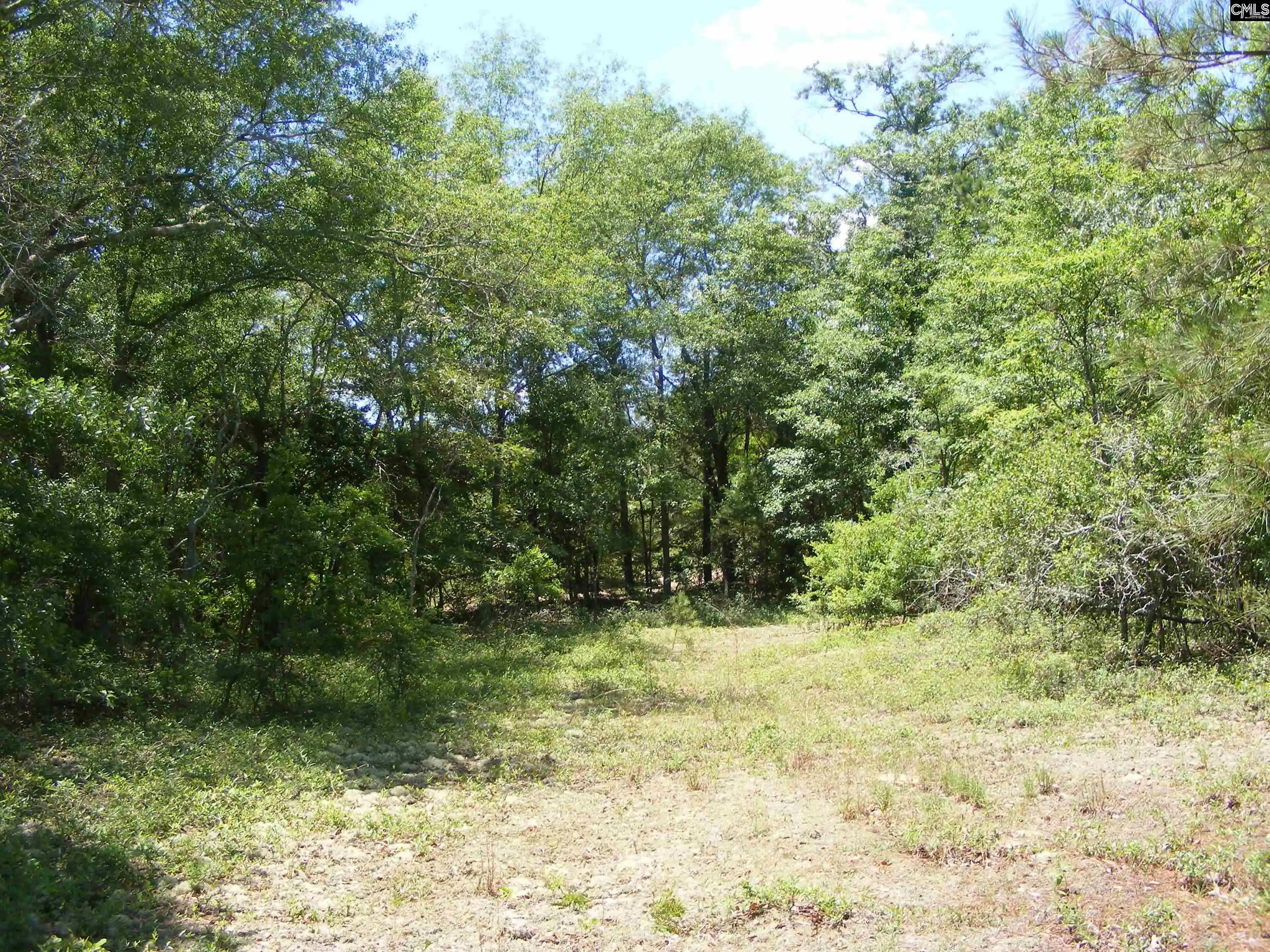 Photo 5 of Sale Pending at 0 Meadowfield, Gaston, SC 29053 | MLS# 585500 | Listing updated on 2026-06-12