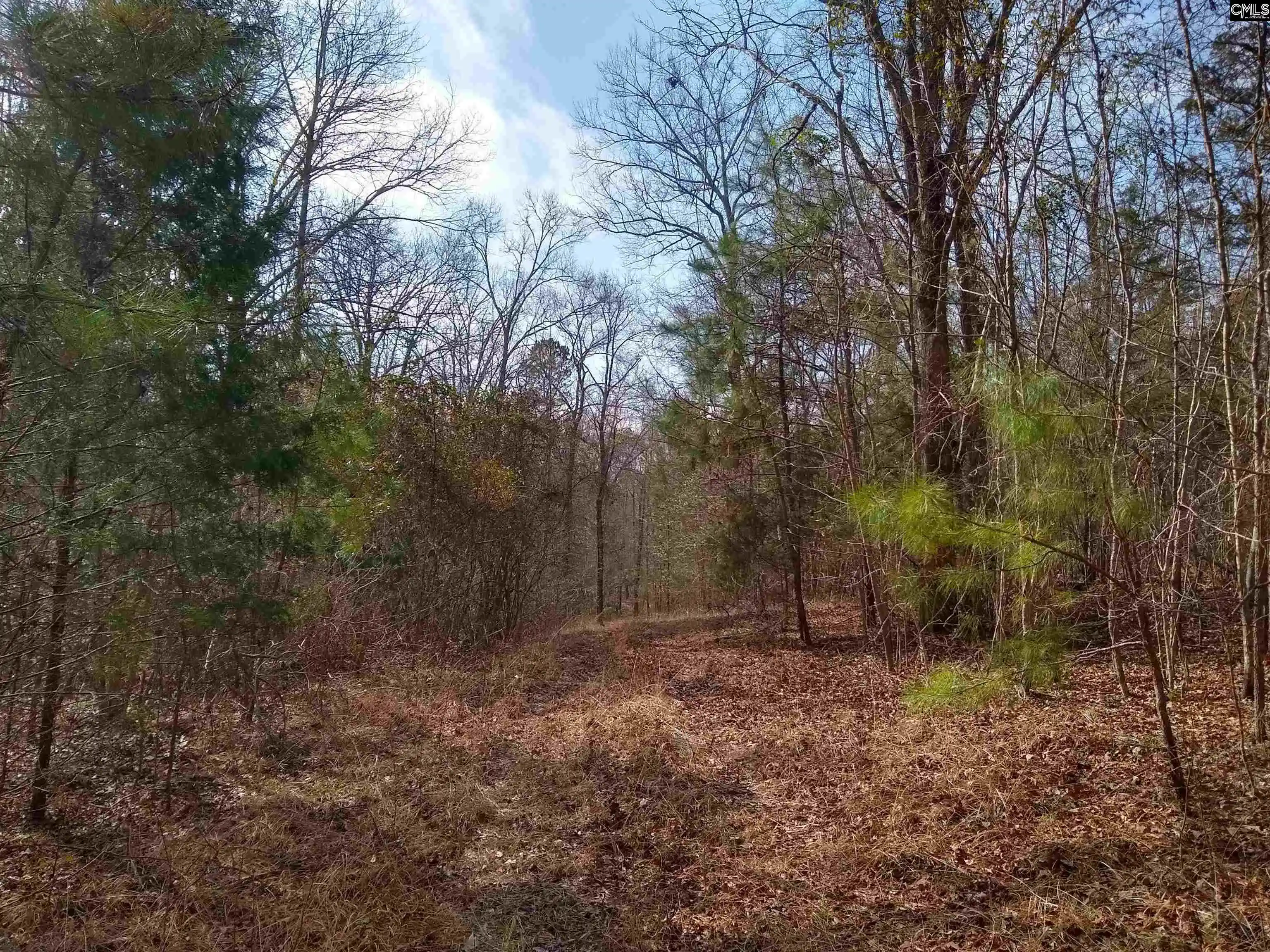 Photo 39 of Land for sale at 0 321, Winnsboro, SC 29180 | MLS# 592022 | Listing updated on 2026-02-20