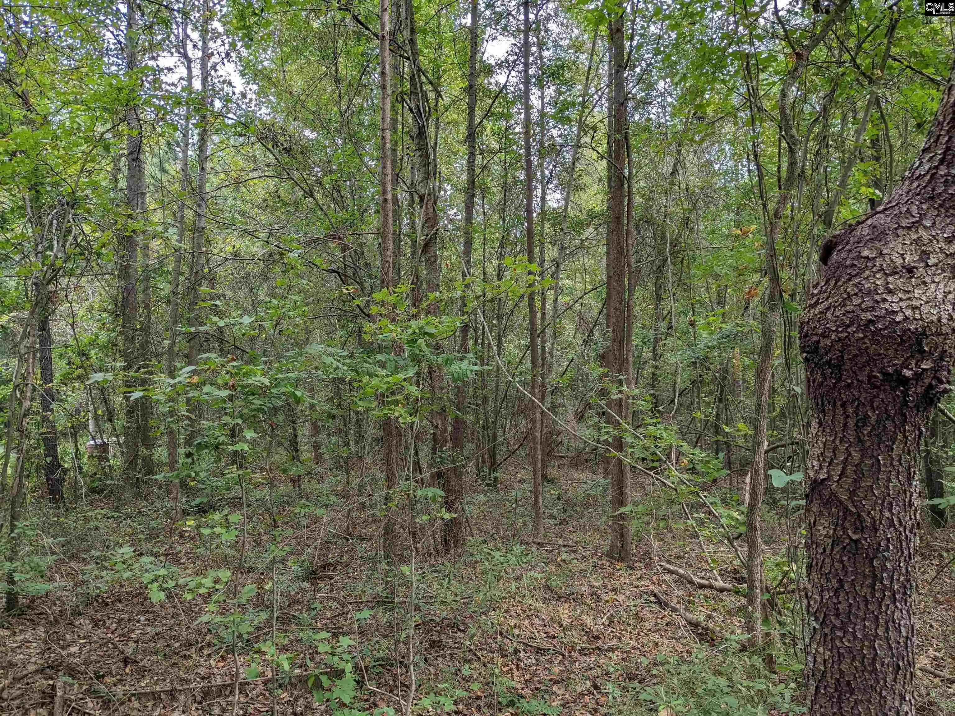Photo 3 of Land for sale at 1113 Chappell Creek, Hopkins, SC 29061 | MLS# 594118 | Listing updated on 2026-09-09
