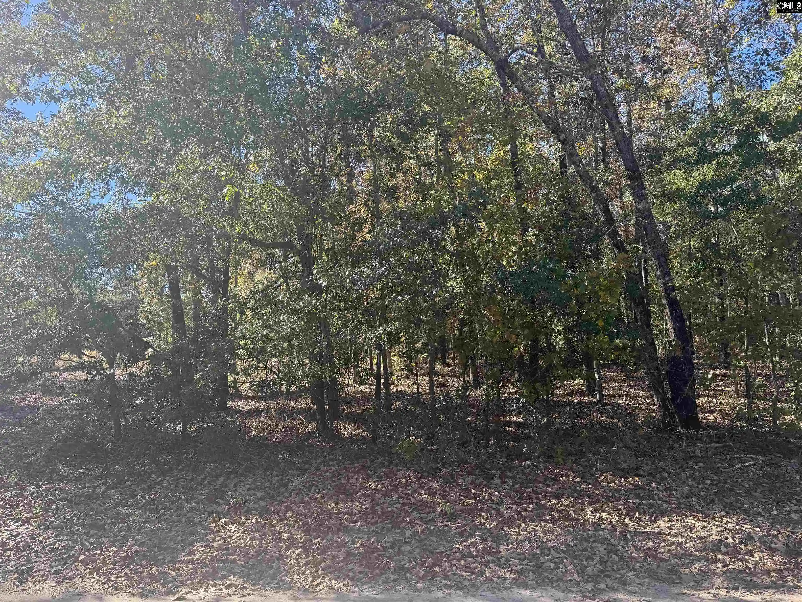 Homes for sale in Bamberg, SC | Tbd Possum, Bamberg, SC 29003 | MLS# 597542
