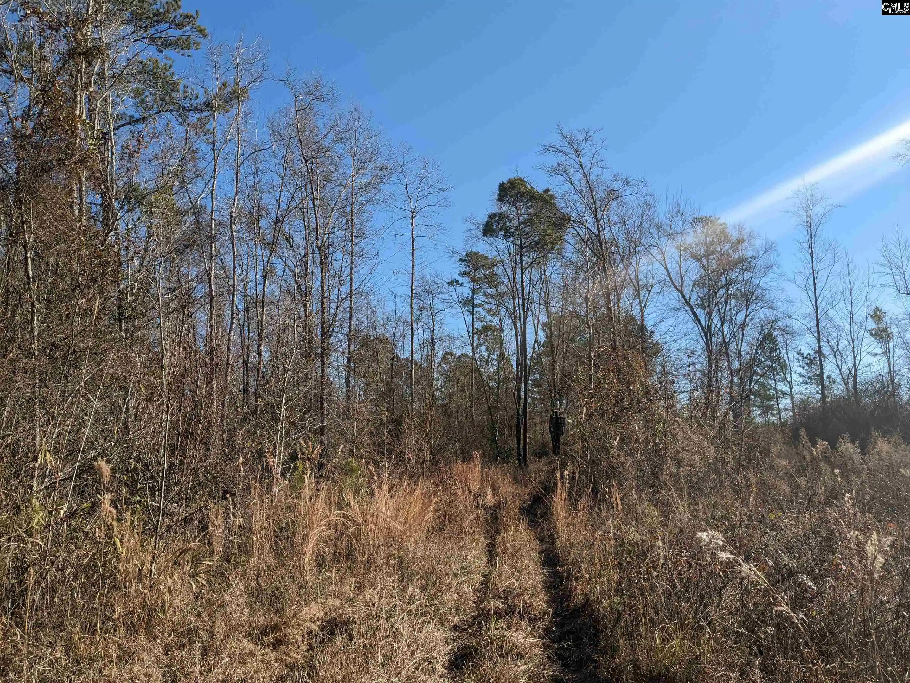 Photo 3 of Land for sale at 1135 Elkwood, Camden, SC 29020 | MLS# 599955 | Listing updated on 2026-01-05