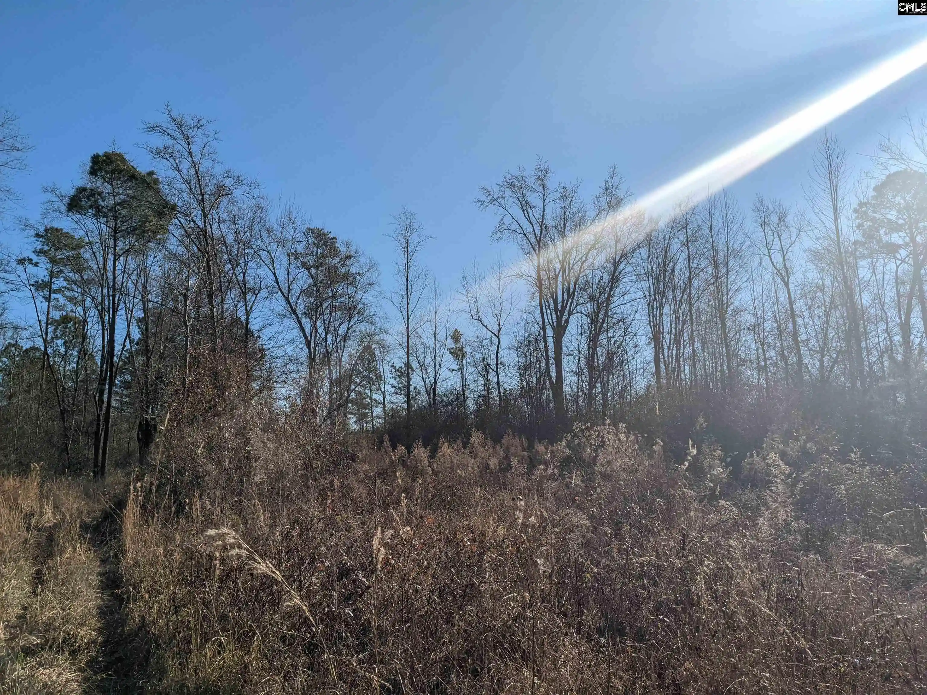Photo 4 of Land for sale at 1135 Elkwood, Camden, SC 29020 | MLS# 599955 | Listing updated on 2026-01-05