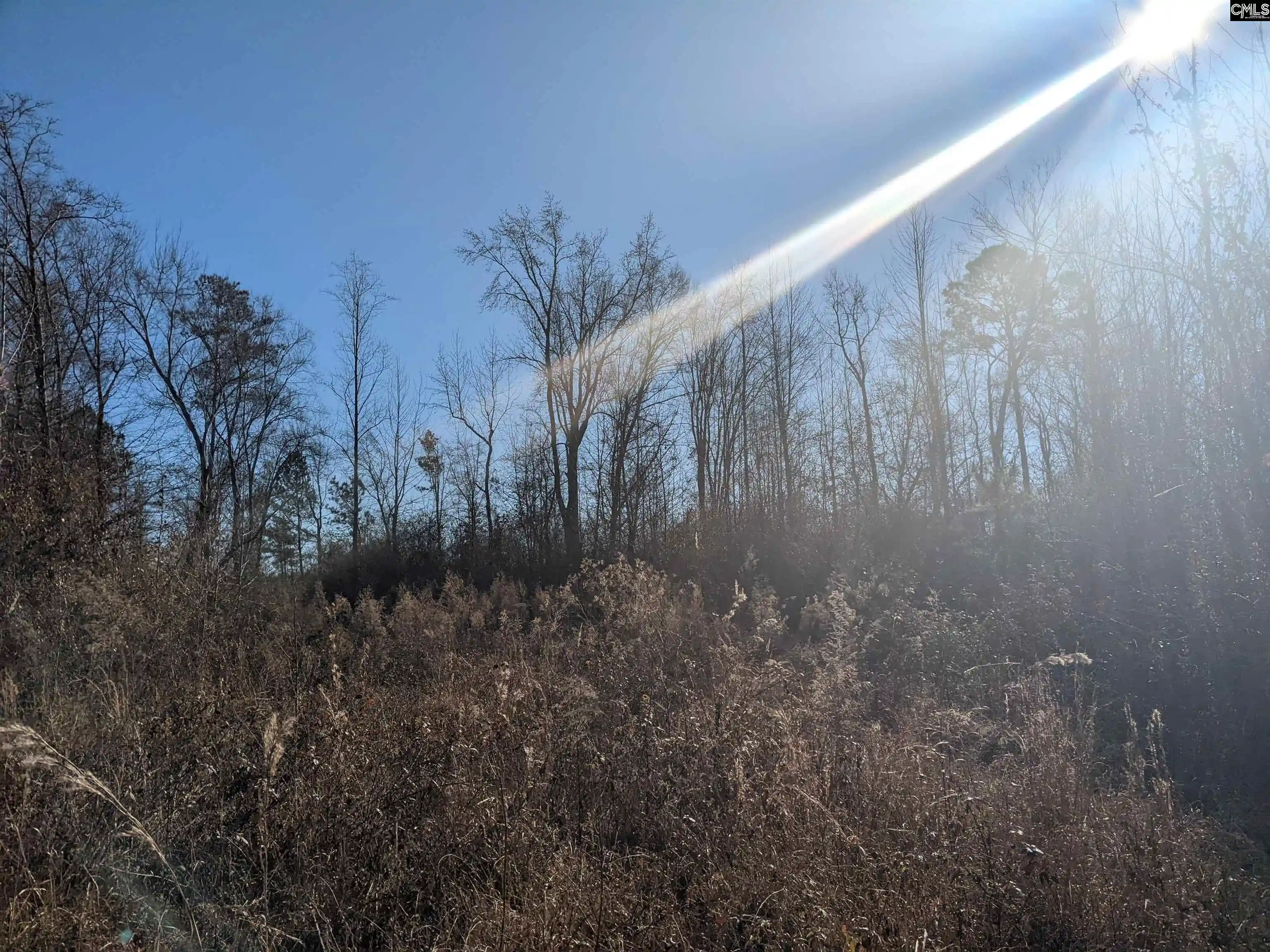 Photo 5 of Land for sale at 1135 Elkwood, Camden, SC 29020 | MLS# 599955 | Listing updated on 2026-01-05