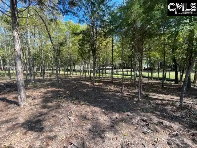 Homes for sale in Chapin, SC | 1029 Refuge, Chapin, SC 29036 | MLS# 600318