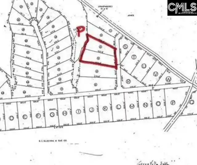 Homes for sale in Chapin, SC | 0 Greengarden, Chapin, SC 29036 | MLS# 600736