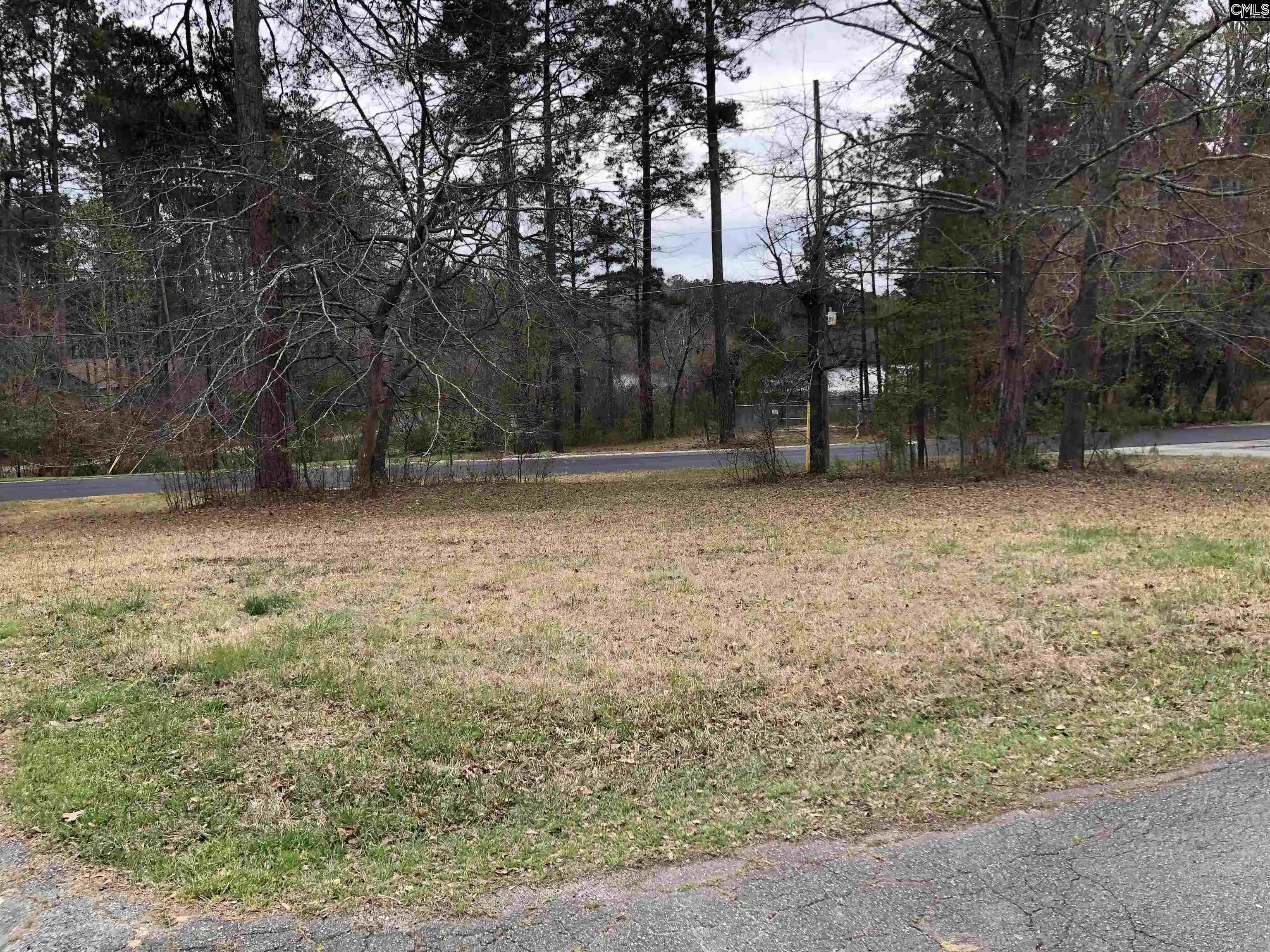 Photo 3 of Land for sale at 2 Fairway Ln, Blythewood, SC 29016 | MLS# 604310 | Listing updated on 2026-10-08